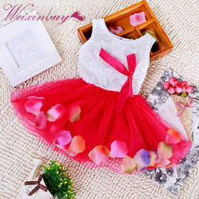 Baby Girl's Petal Dress